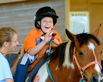 horses